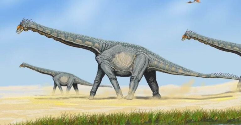 Scientists Uncover Fossil Of One Of The Biggest Dinosaurs To Ever Roam The Earth