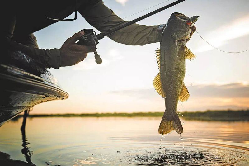 Fish The First Hour Of Daylight