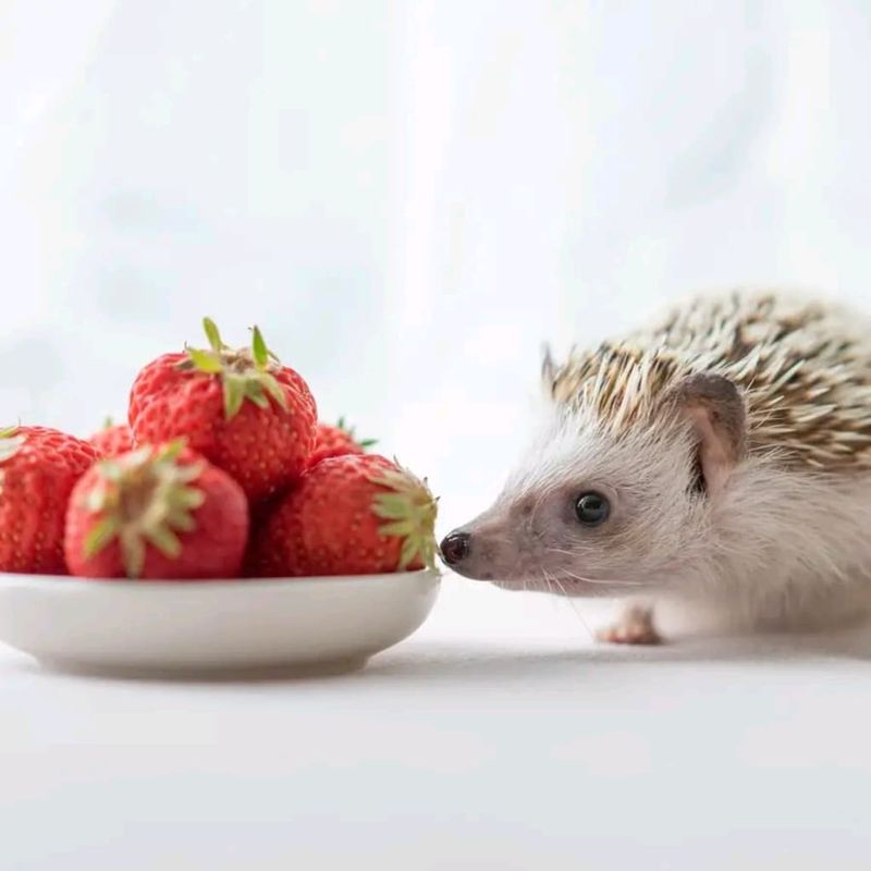 Sweet Berries