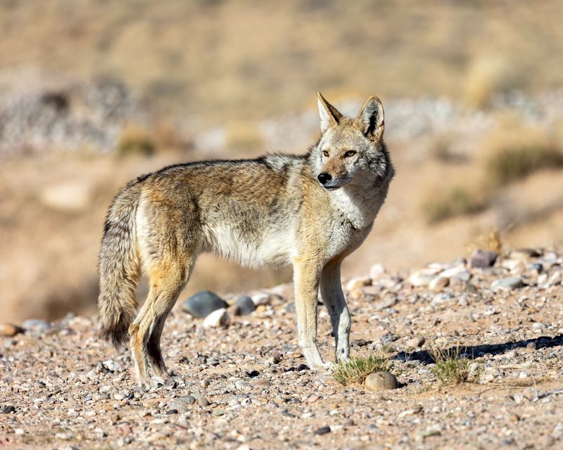 Scientific Observation Reveals Rare Insights