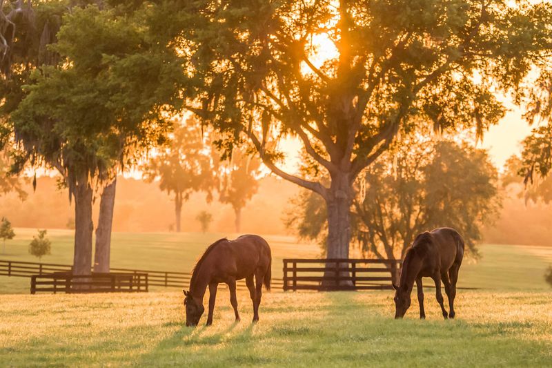 Smart Turnout Management