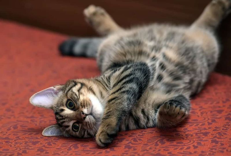 Rolling Around Isn't Just For Fun