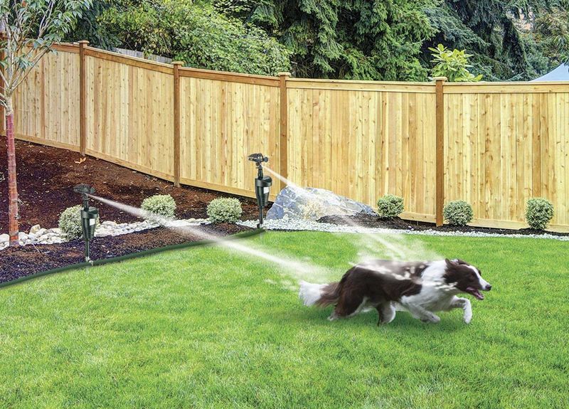 Motion-Activated Sprinklers