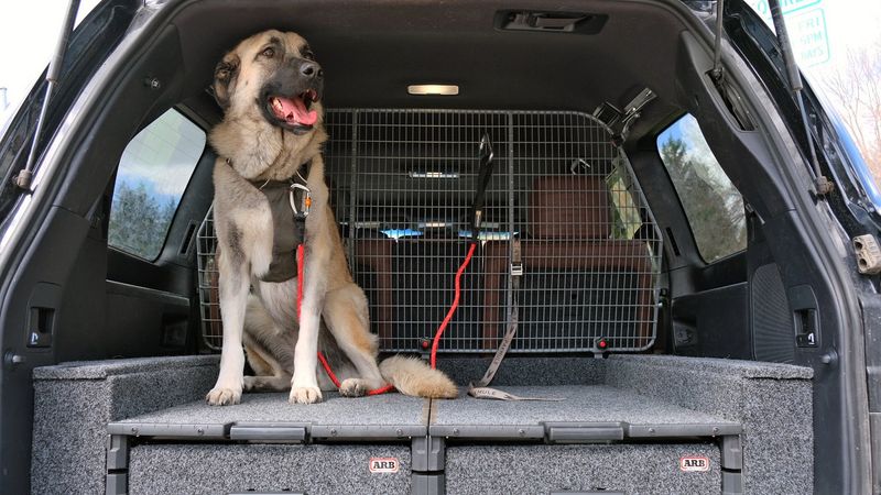 Install A Sturdy Car Barrier