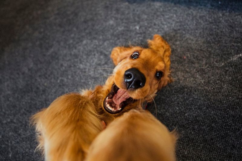 Excitement When You Return