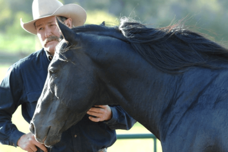 Unusual Affection Toward Their Human