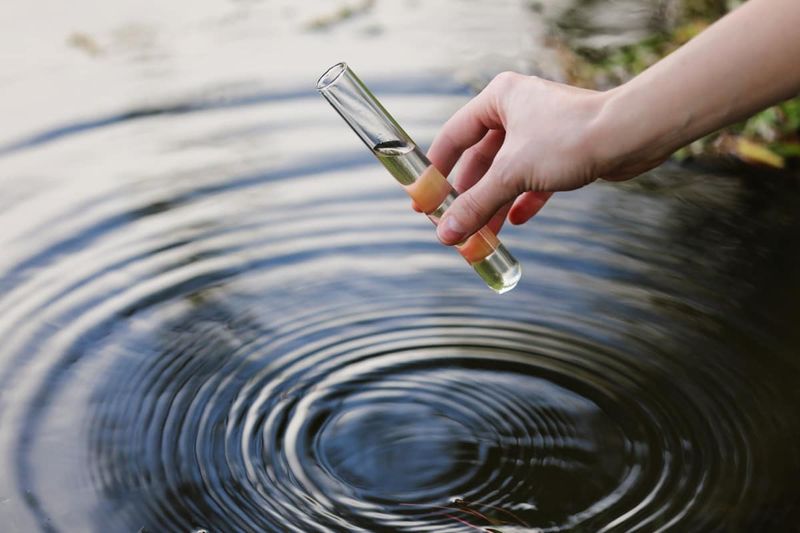 Maintain Water Quality Parameters