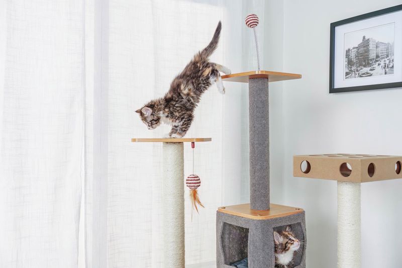 Vertical Cat Tree