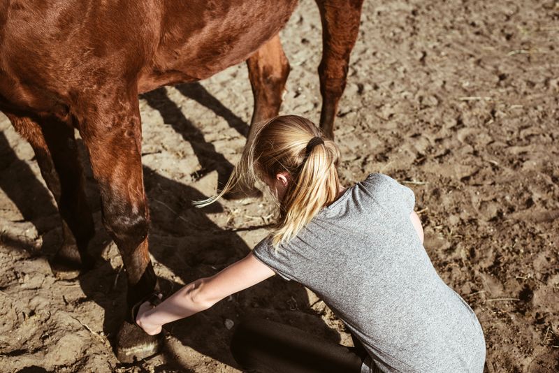 Increased Heat In The Hoof