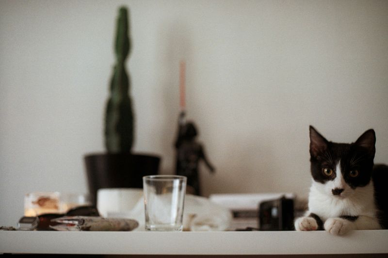 Leave Small Objects On Counters