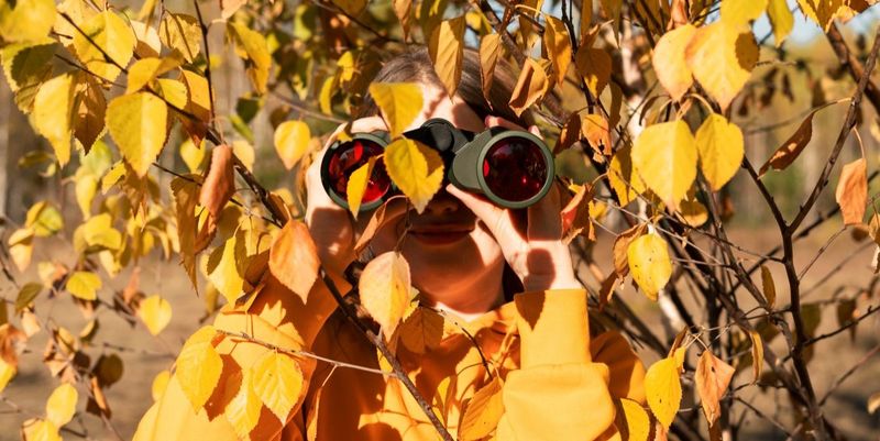 Participate In Citizen Science