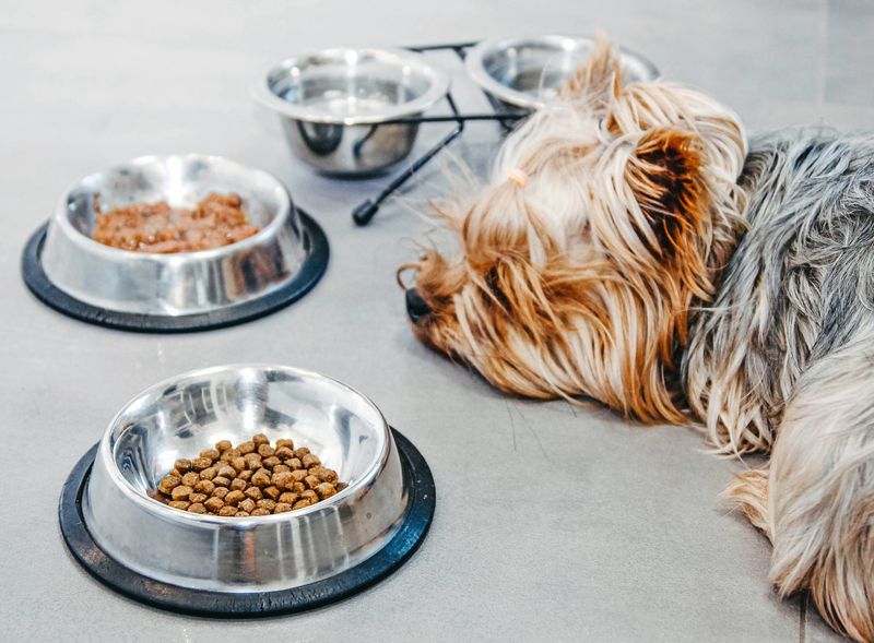 Refusing Food For Multiple Days