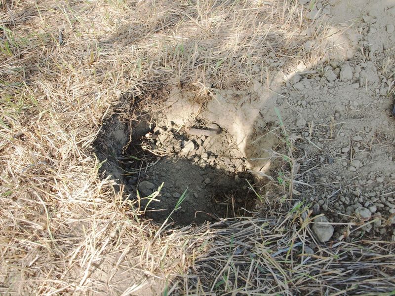 Decomposition Problems Create Lingering Issues