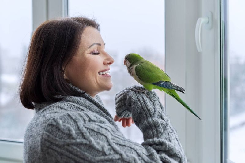 Parrots Recognize Their Human Family