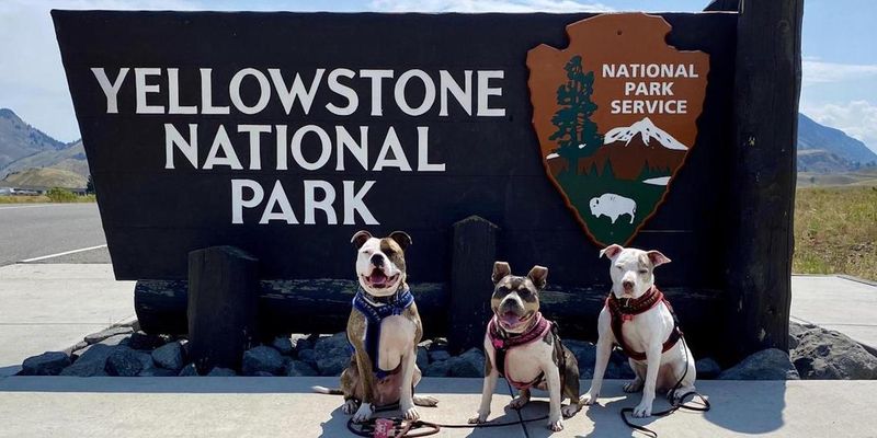 Yellowstone National Park, Wyoming, Montana And Idaho