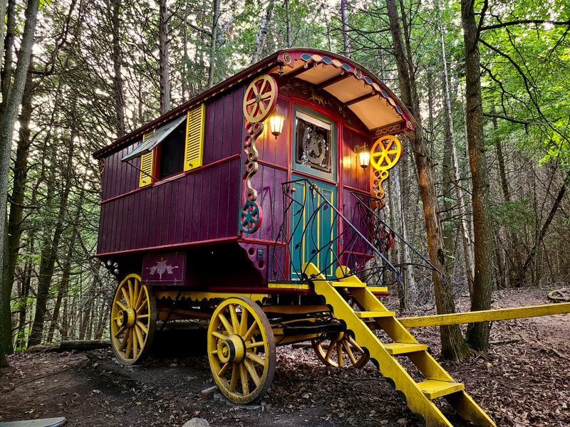 Gypsy Wagon Chicken Caravan