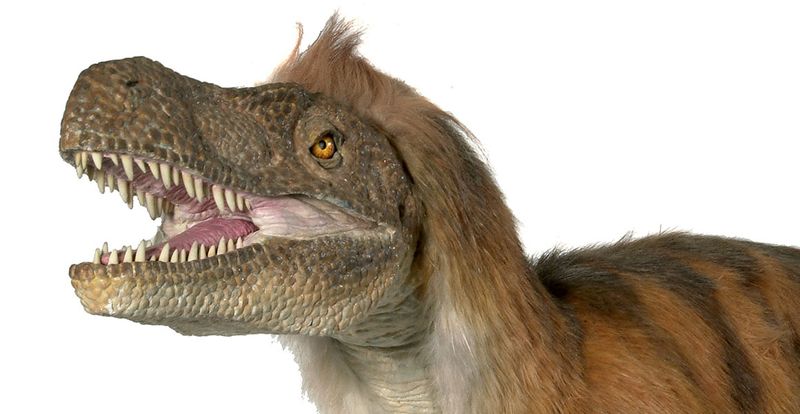 Narrow Snout With Serrated Teeth