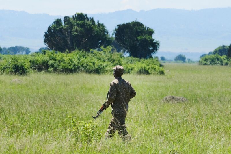 Threatened By Poaching
