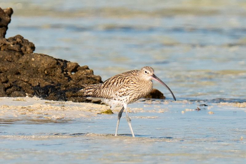 Europe Faces A Sobering Ecological First