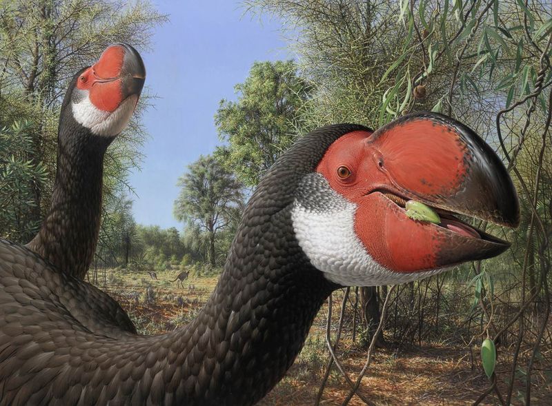 Predator-Prey Relationship Indicators