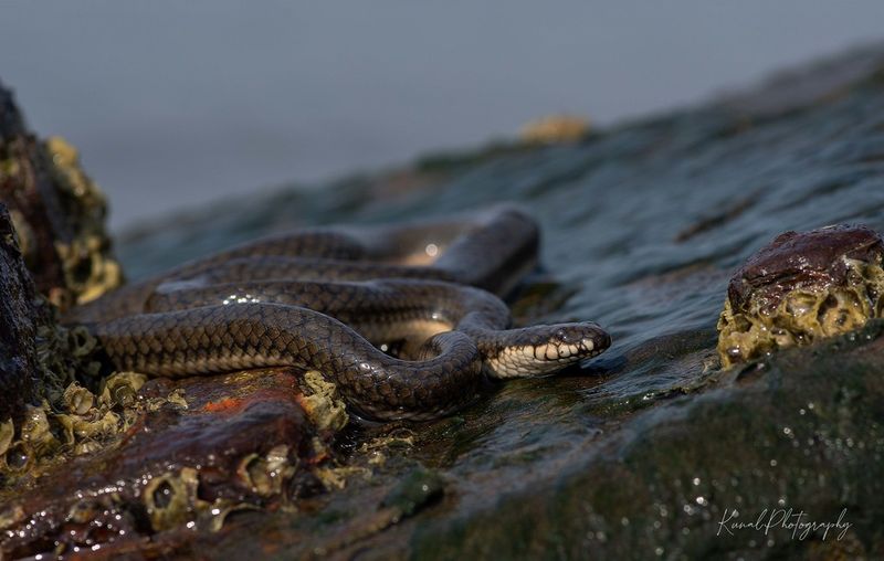 Unexpected Habitat Revelations