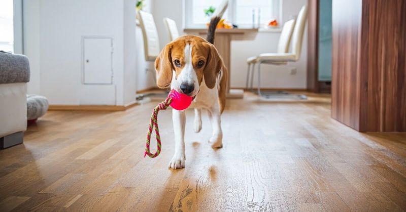 Leave Harmful Toys Unsupervised