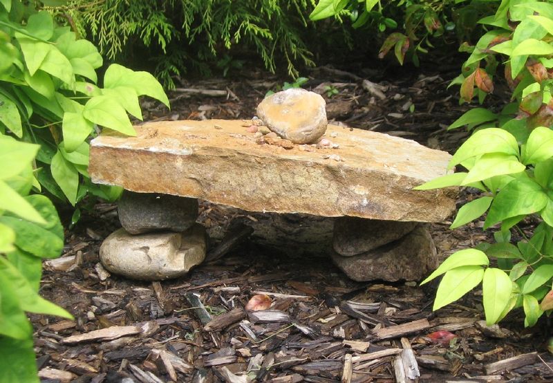 Rock Piles And Hiding Spots