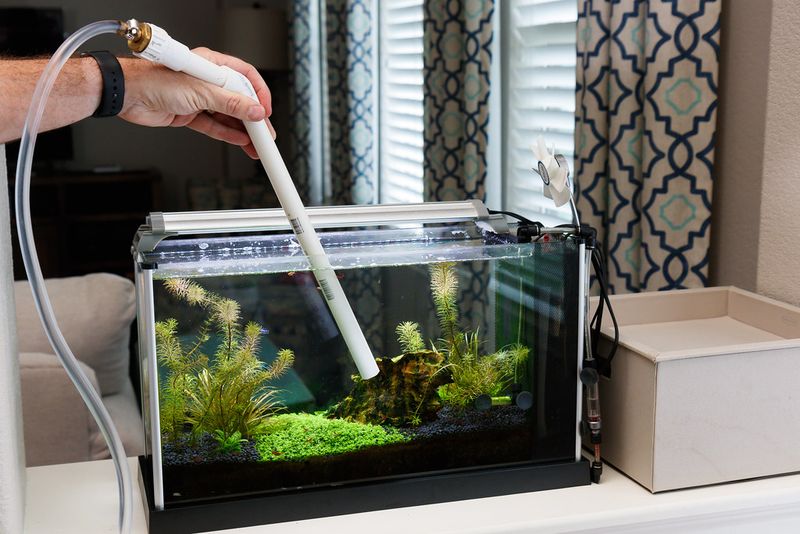 Changing Too Much Water At Once