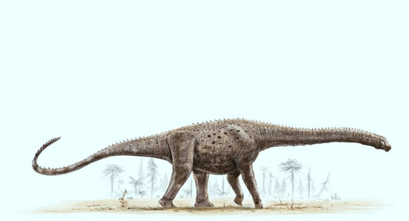 Whale-Sized Gentle Giant: Argentinosaurus