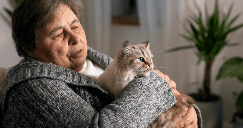 Loneliness Reducers