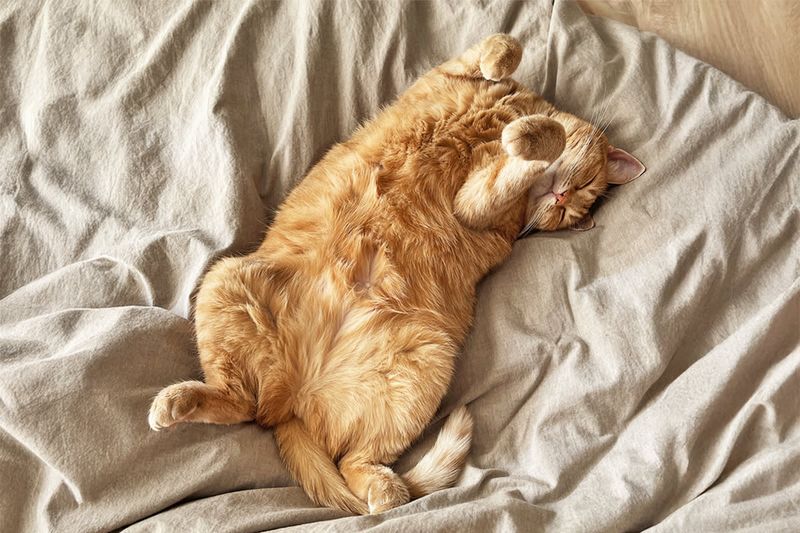 Sleep Position Security Codes