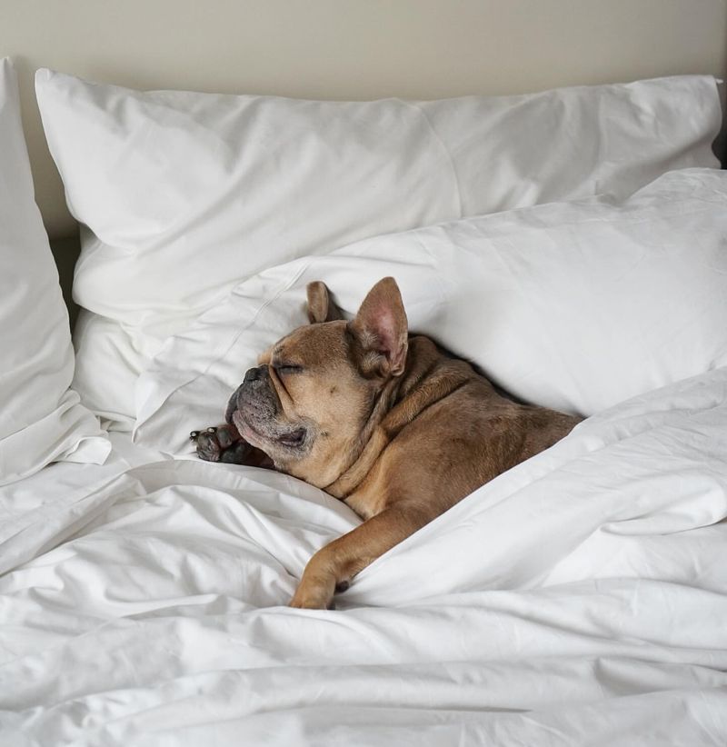 Sleeping In Cozy Beds
