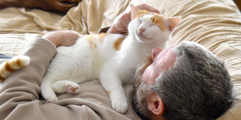 Sleeps On Your Chest
