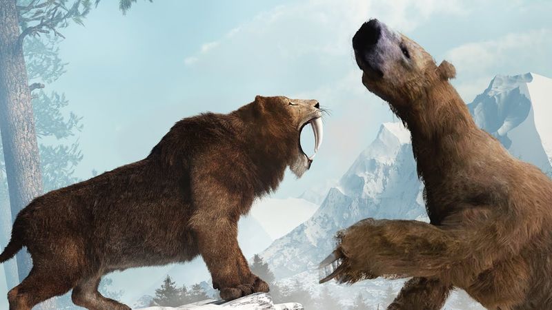 Predator Defense Strategies