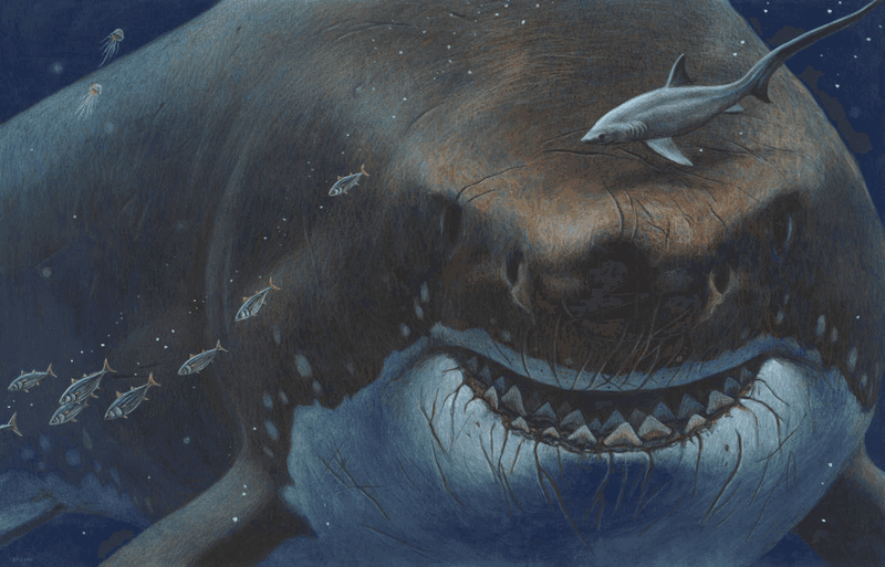 Shifting Ocean Currents Altered Habitats