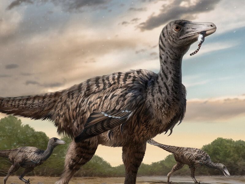 Notable Members: Velociraptor