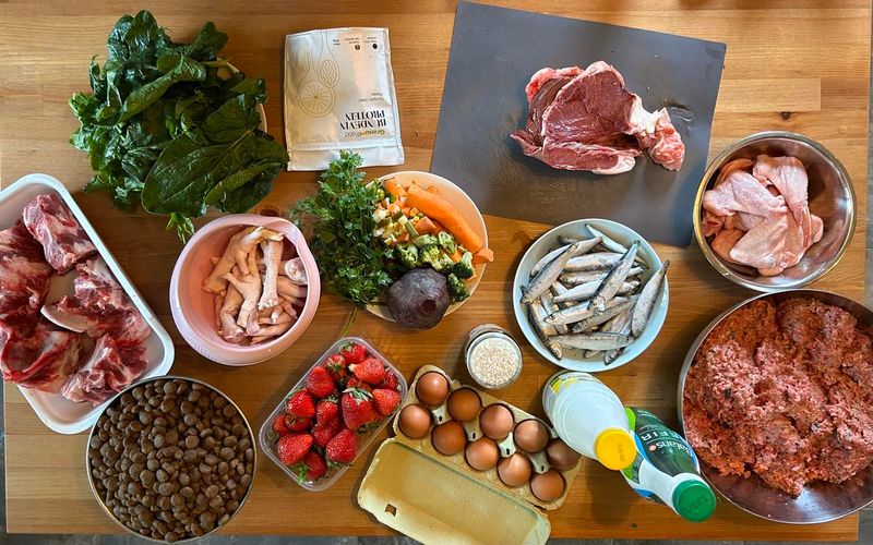Nutrition Foundations For Healthy Growth
