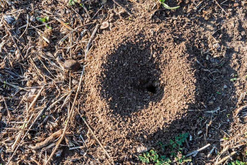 Mysterious Holes Appearing