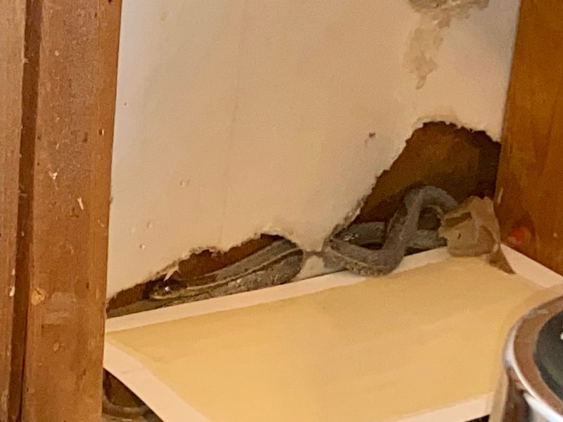 Persistent Odor In Confined Spaces