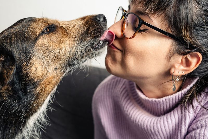 Licking Your Face Enthusiastically