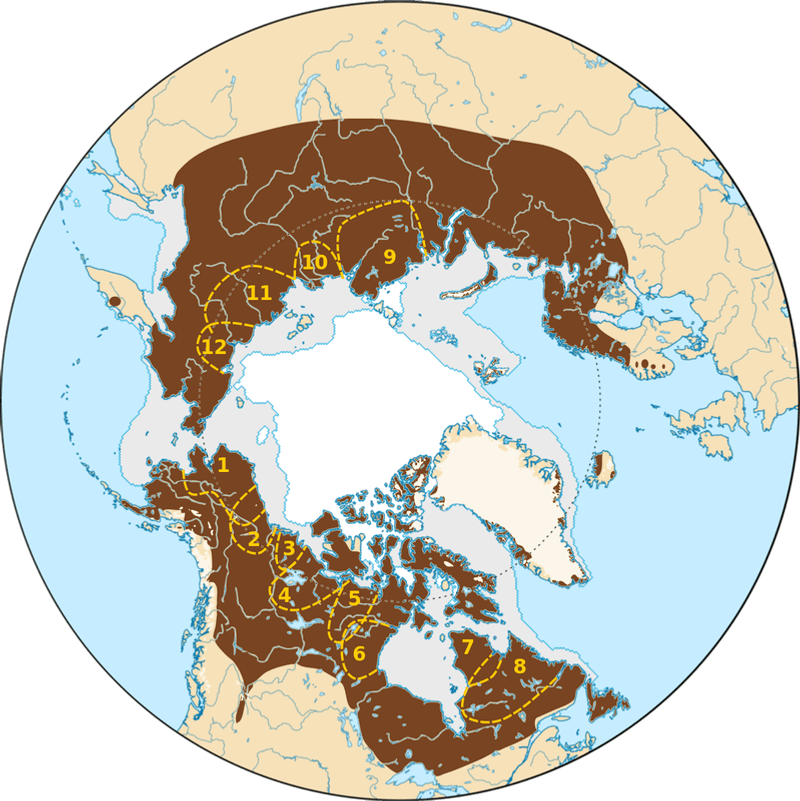 Geographic Distribution