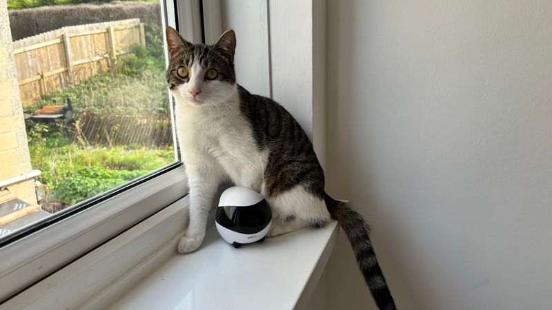 Home Security Sentinels