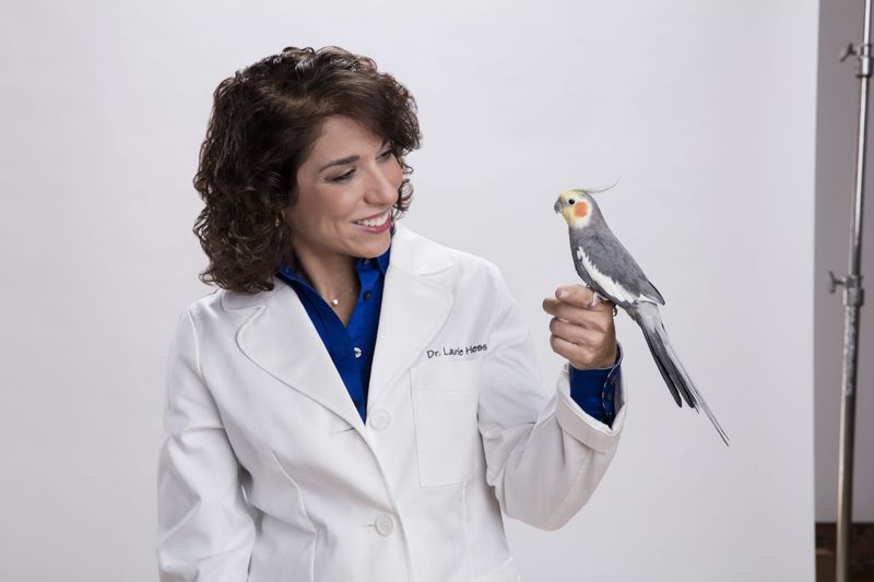 Regular Veterinary Care Extends Lives