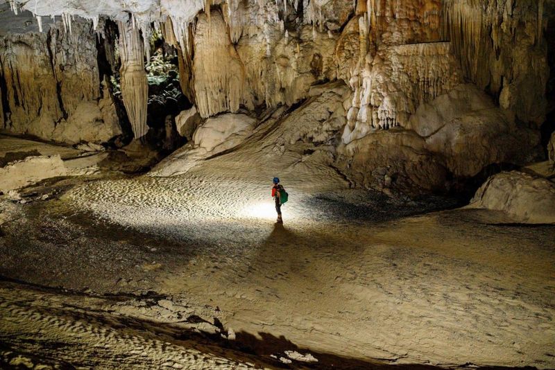 The Cave's Unique Ecosystem