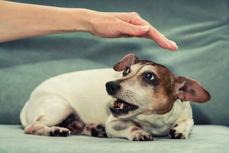 It Can Help With Problem Behaviors