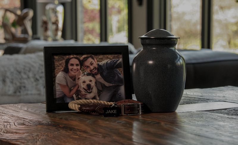 Alternative: Professional Pet Cremation Services