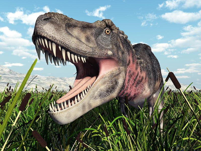 Lived Alongside Fearsome Predators