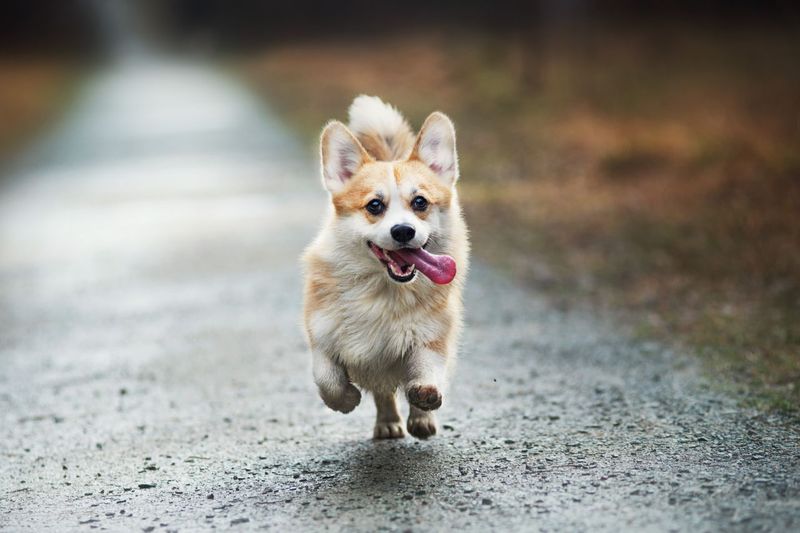 Reincarnation And Return