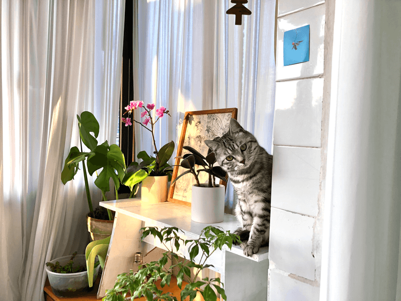 Home Beautifiers