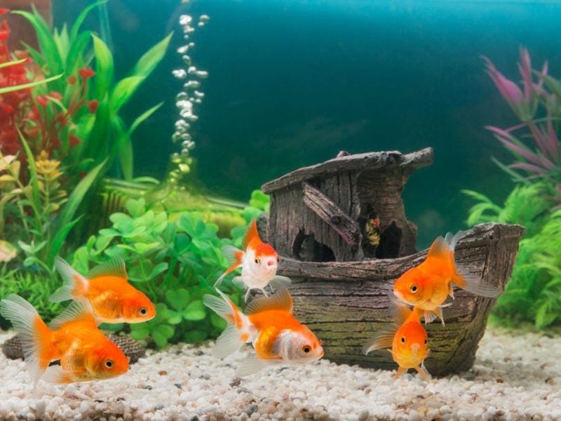 Gentle Filtration Systems
